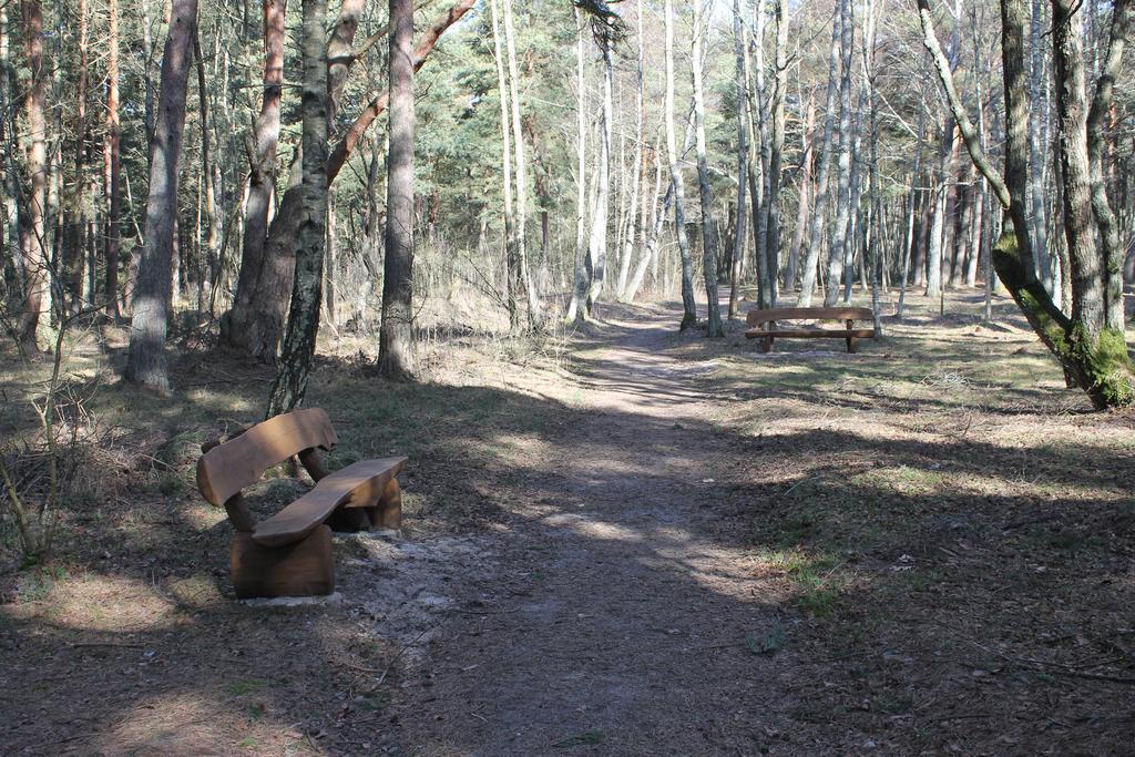 Studio Pluke Palanga Luaran gambar