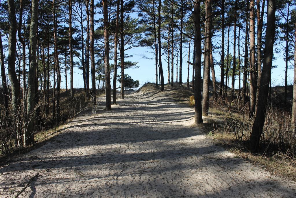 Studio Pluke Palanga Luaran gambar