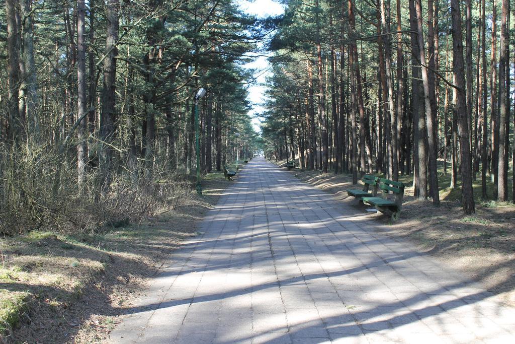 Studio Pluke Palanga Luaran gambar