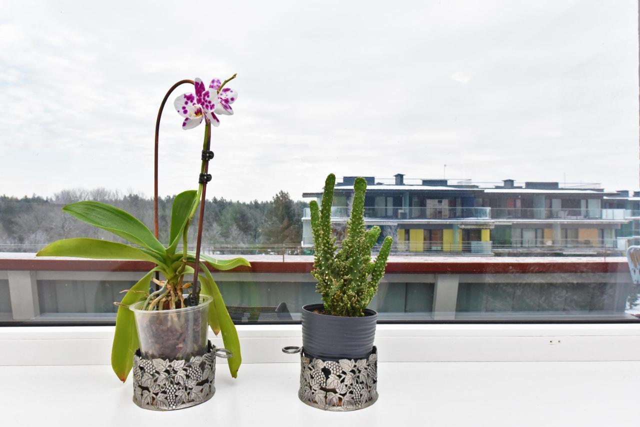 Studio Pluke Palanga Luaran gambar